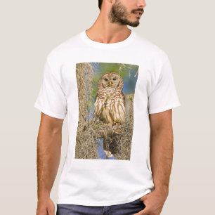 Streckad uggla (Strix varia) sittande i cypress-tr T-shirt