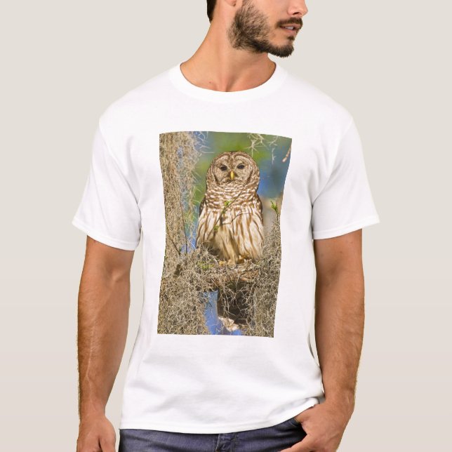 Streckad uggla (Strix varia) sittande i cypress-tr T-shirt (Framsida)