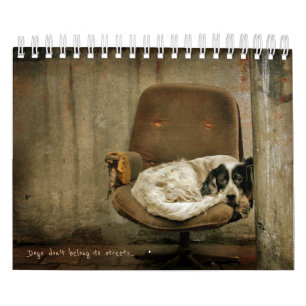 Street Hundar Kalender
