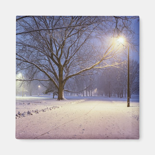 Street ljus och täckt i snö magnet (Framsidan)