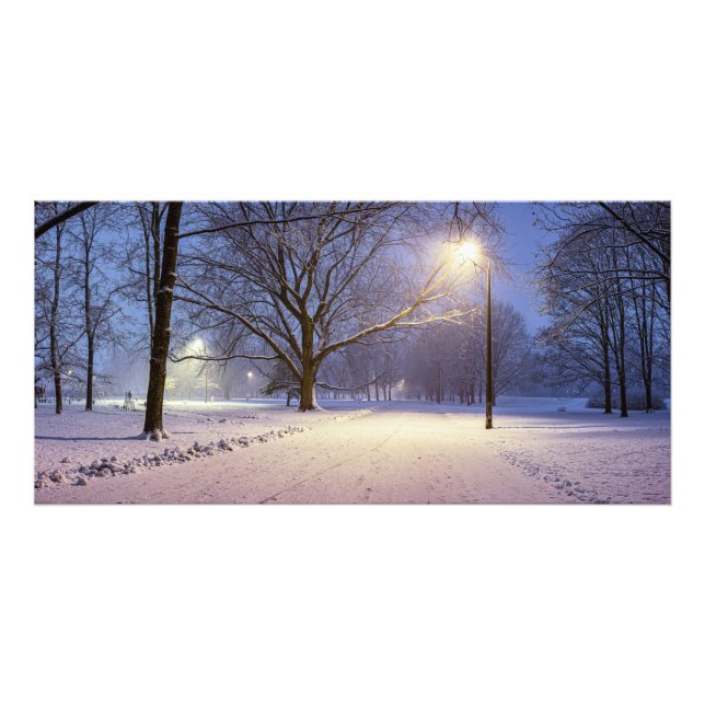 Street ljus och täckt i snö träd fototryck (Framsidan)