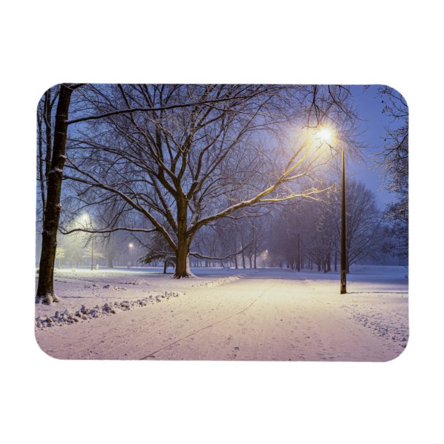 Street ljus och täckt i snö träd magnet (Horisontell)