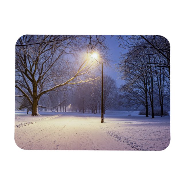 Street ljus och täckt i snö träd magnet (Horisontell)