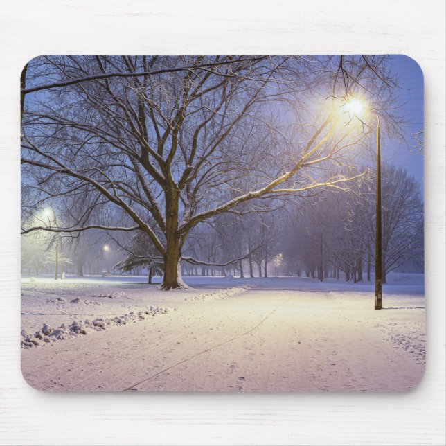 Street ljus och täckt i snö träd musmatta (Framsidan)