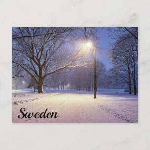 Street ljus och täckt i snö träd vykort