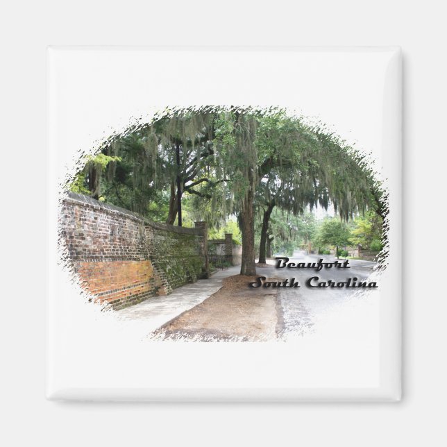 Street Scene, Beaufort, SC Magnet (Framsidan)