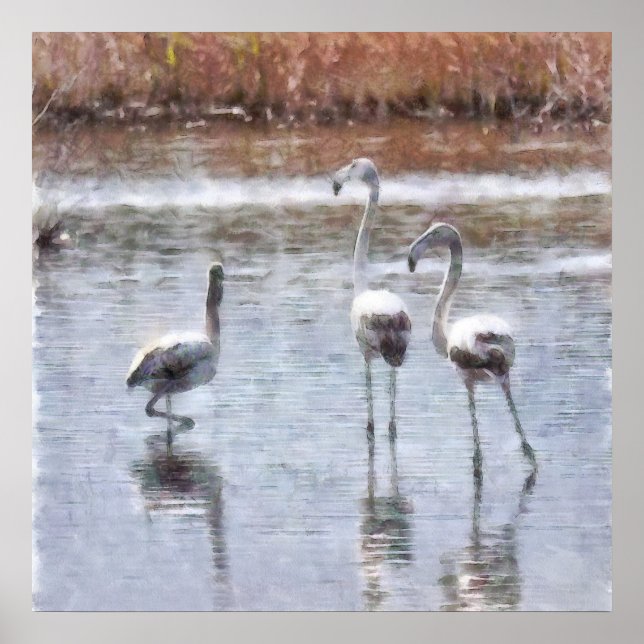 Strejka A Pose Flamingo Watercolor Poster (Framsidan)
