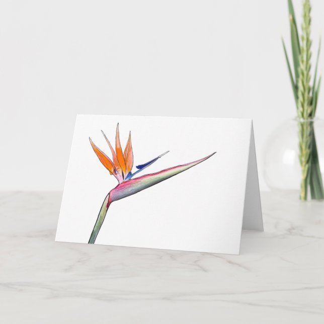 Strelitzia Card Helgkort (Framsida)