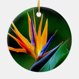 Strelitzia. Fågel av paradisflower.en Julgransprydnad Keramik