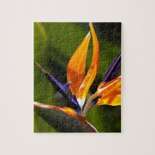 Strelitzia. Fågel av paradisflower.en Pussel