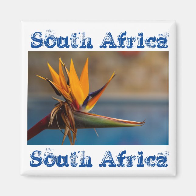 Strelitzia Flower South Afrika Nature Magnet (Framsidan)