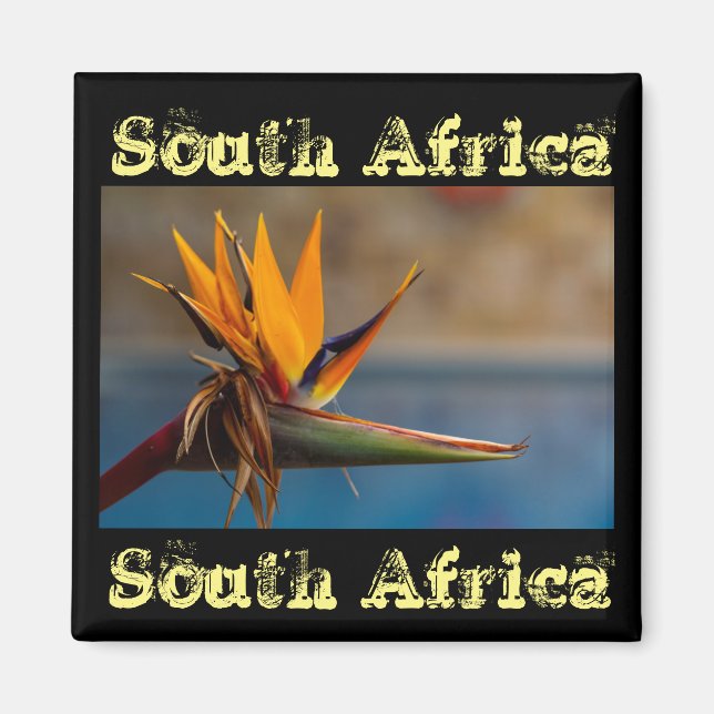 Strelitzia Flower South Afrika Nature Magnet (Framsidan)