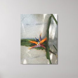 strelitzia framför en vägg canvastryck