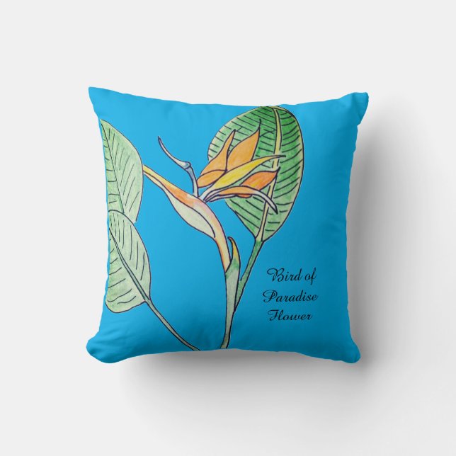 Strelitzia Kudde (Framsida)