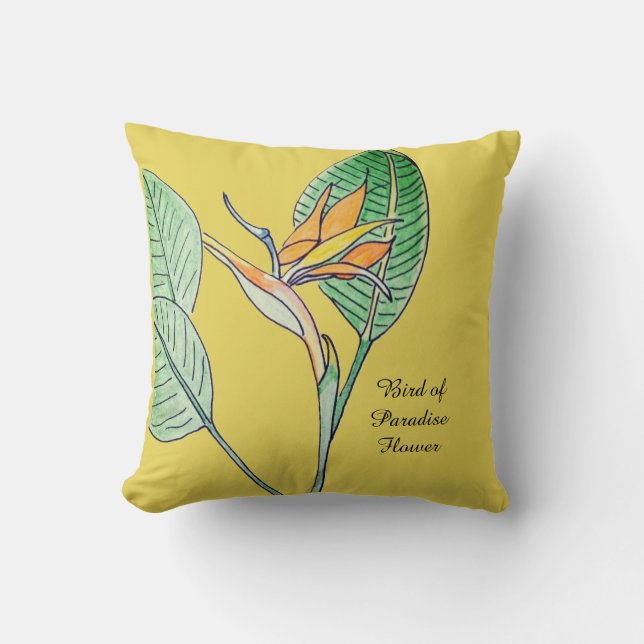 Strelitzia Kudde (Framsida)