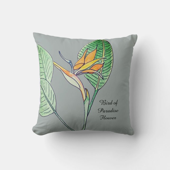 Strelitzia Kudde (Framsida)