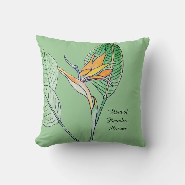 Strelitzia Kudde (Framsida)