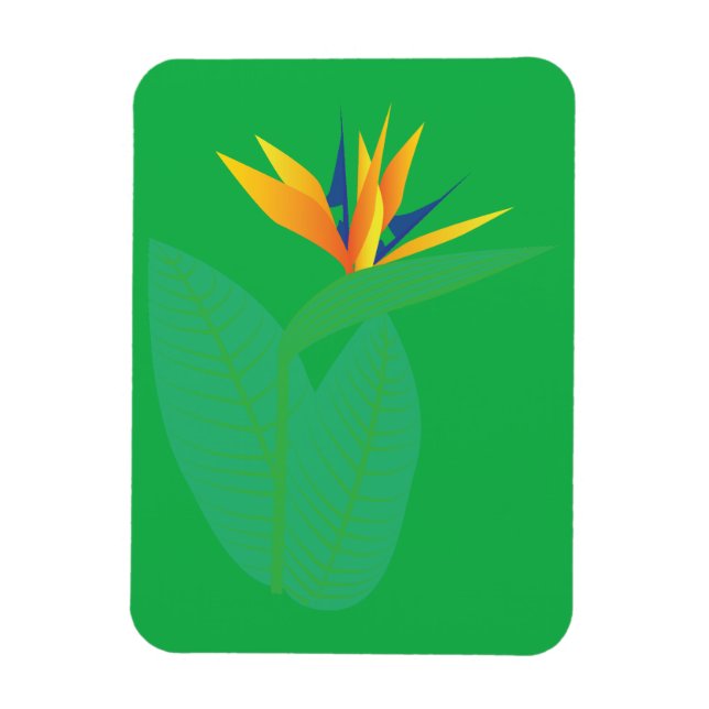 Strelitzia Magnet (Vertikal)