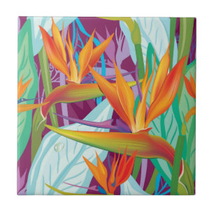Strelitzia Mönster Kakelplatta