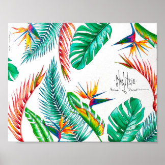 Strelitzia - Paradise-fågeln Poster
