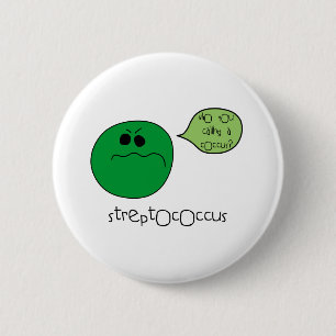 Streptococcus Knapp