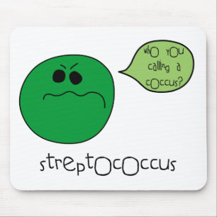 Streptococcus Musmatta