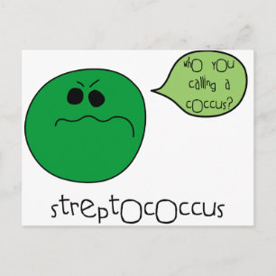 Streptococcus Vykort