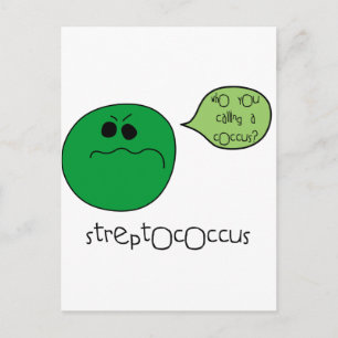 Streptococcus Vykort