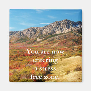 Stressa fritt magnet