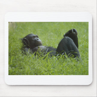 Stressa hjälp musmatta