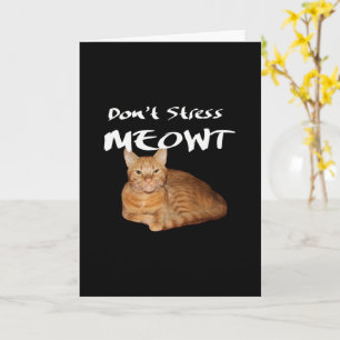 Stressa inte Meowt - Orange Cat Stressar ut mig Kort