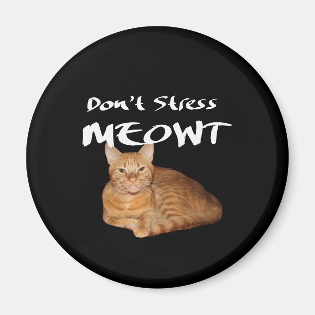 Stressa inte Meowt - Orange Cat Stressar ut mig Magnet (Framsidan)