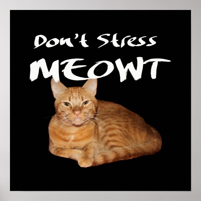 Stressa inte Meowt - Orange Cat Stressar ut mig Poster (Framsidan)