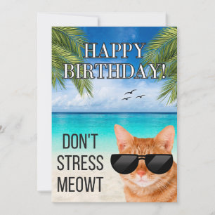 Stressa Meowt Funny Tabby katt Grattis på födelsed