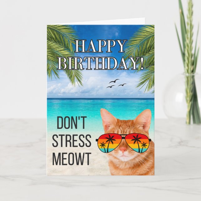 Stressa mig inte Kattliv Rolig Tabby Katt Glad Föd Kort (Framsida)