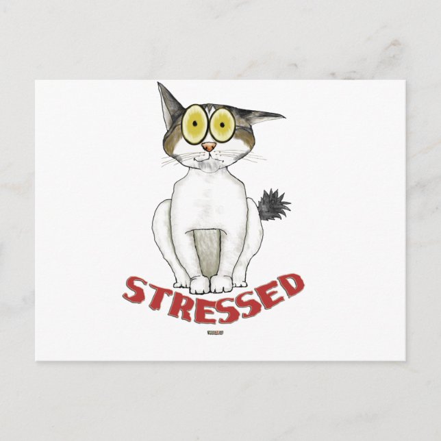 Stressat ut Cat Lucy Vykort (Framsida)