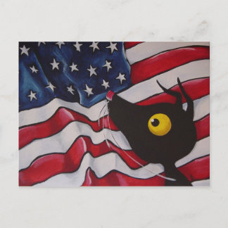 Stressie Cat i USA! Vykort