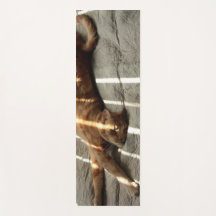 Stretch Cat Dubbla Sided Yoga Mat