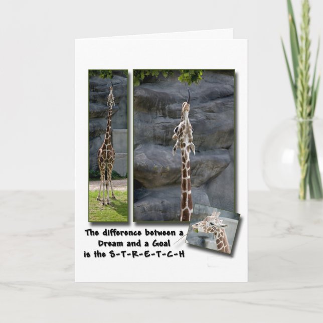 Stretch Greeting Card Kort (Framsida)