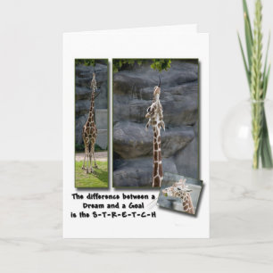 Stretch Greeting Card Kort