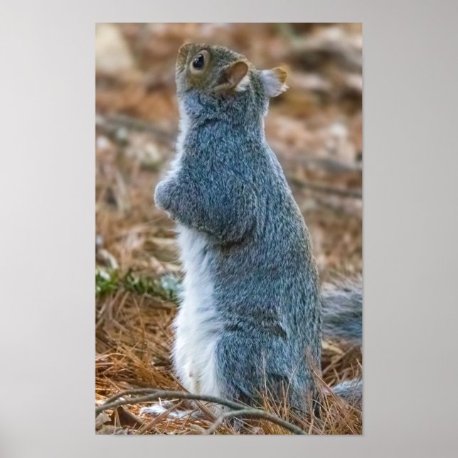 Stretch  poster (Framsidan)