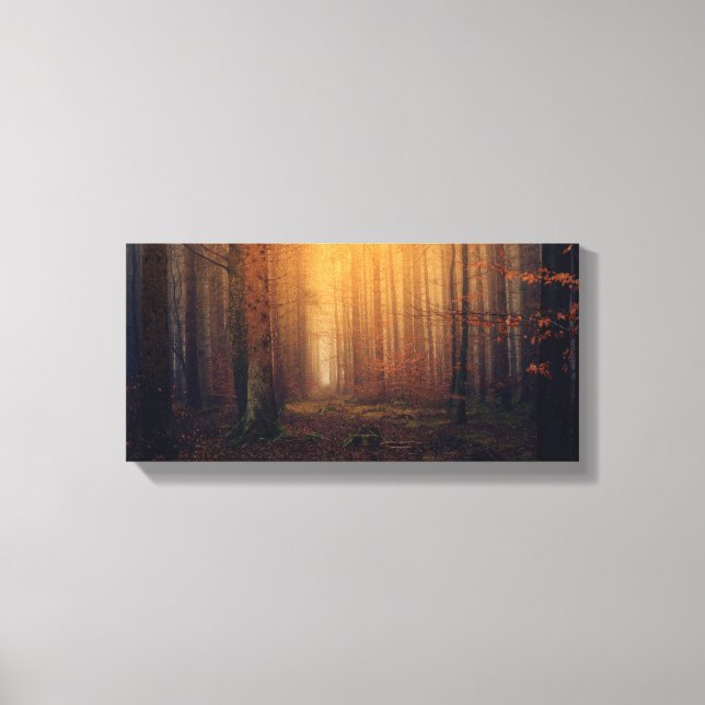 Stretched Canvas (Framsida)