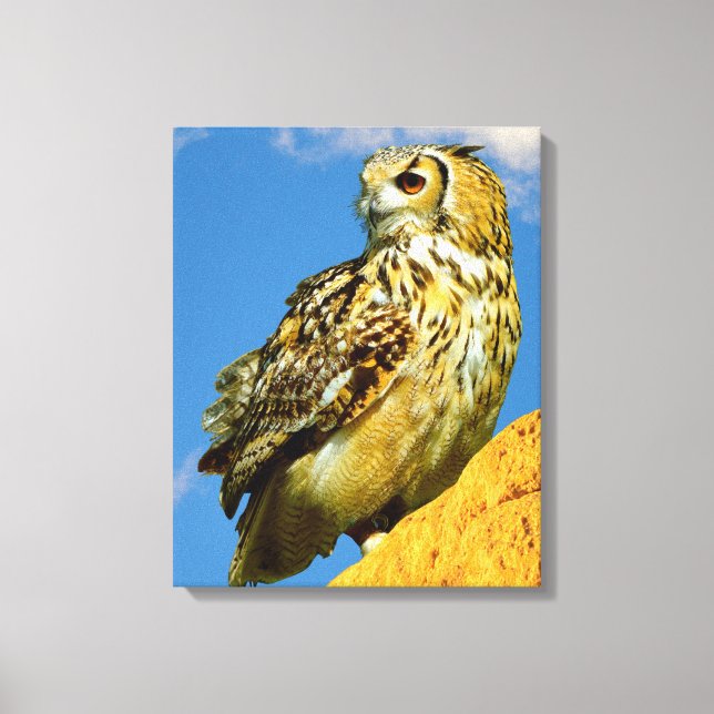 Stretched Canvas Print (Framsida)