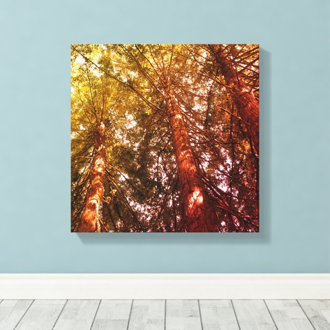 Stretched Canvas Print, In the Redwoods (Insitu (trägolv))
