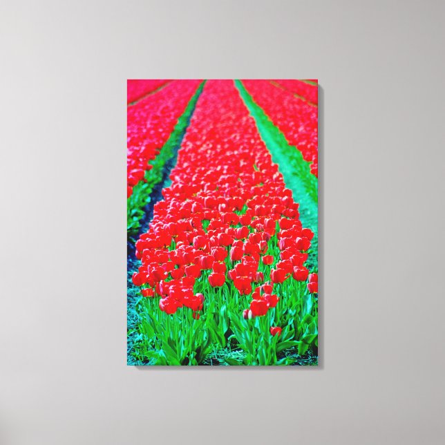 Stretched Canvas Print Tulip Fields  (Framsida)