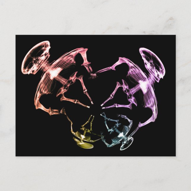 Stretched X-Ray Skeleton Family 3 Vykort (Framsida)