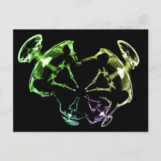 Stretched X-Ray Skeleton Family 4 Vykort (Framsida)