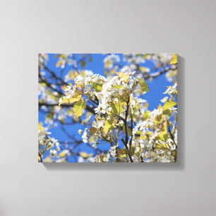 Stretcherat Kanvastryck för Blommar för körsbär