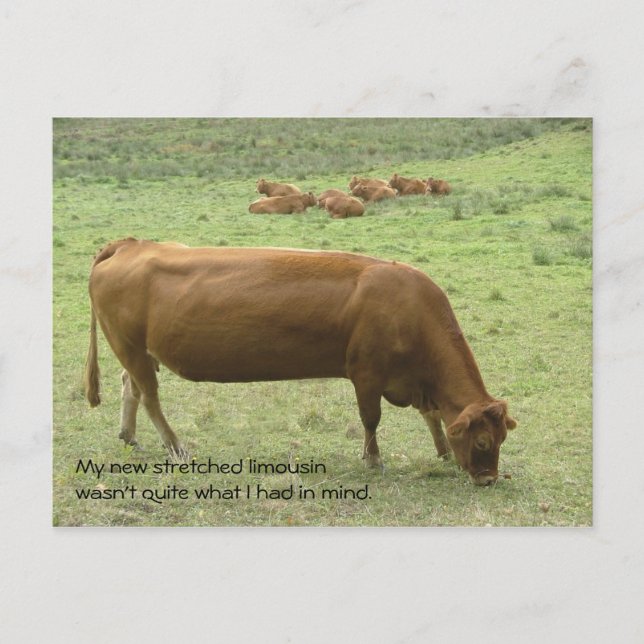 Stretcherat limo-vykort vykort (Framsida)