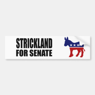 STRICKLAND 2010 BILDEKAL